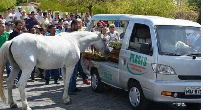 梦见亲人从棺材里出来,梦境背后的深层含义与心理解析 梦见亲人从棺材里出来,梦境背后的深层含义与心理解析