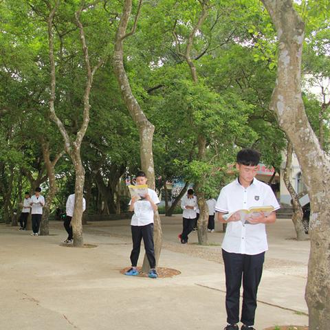 南宁市初中成绩怎么查询