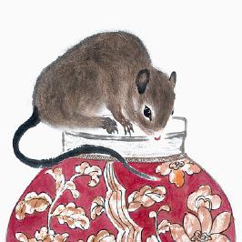 1月6日牛生肖运势(1月6日牛生肖运势怎么样)