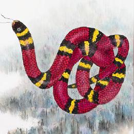 马生肖运势分析图解法(马生肖运势分析图解法视频)