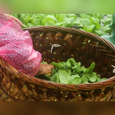 台风福建什么感觉