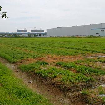 济南青年莲花汽车相关长尾关键词有哪些