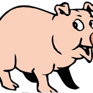 1995年属猪人生肖运势(1995年属猪人生肖运势及运程)