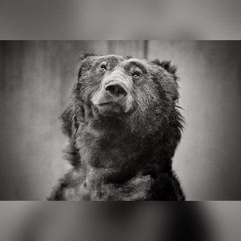 盘点心居在上海取景地相关关键词有哪些