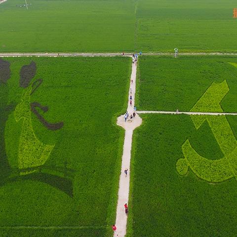 航拍中国航河南笔记的相关长尾关键词有哪些