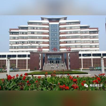 潍坊市外文局的长尾关键词有哪些