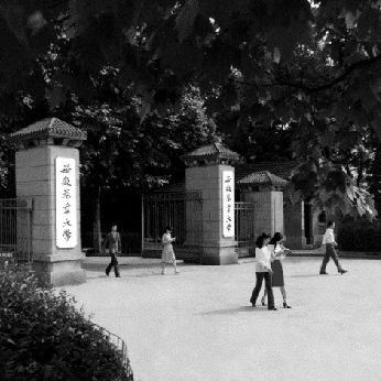 合肥市有多少大学院校啊