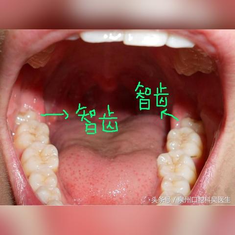 有多少人不知道泉州市