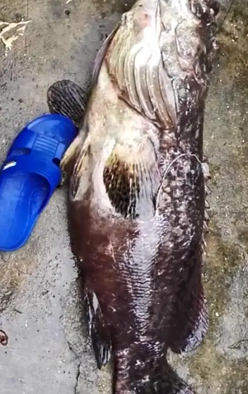 几万闲钱怎么赚 100万闲钱怎么赚