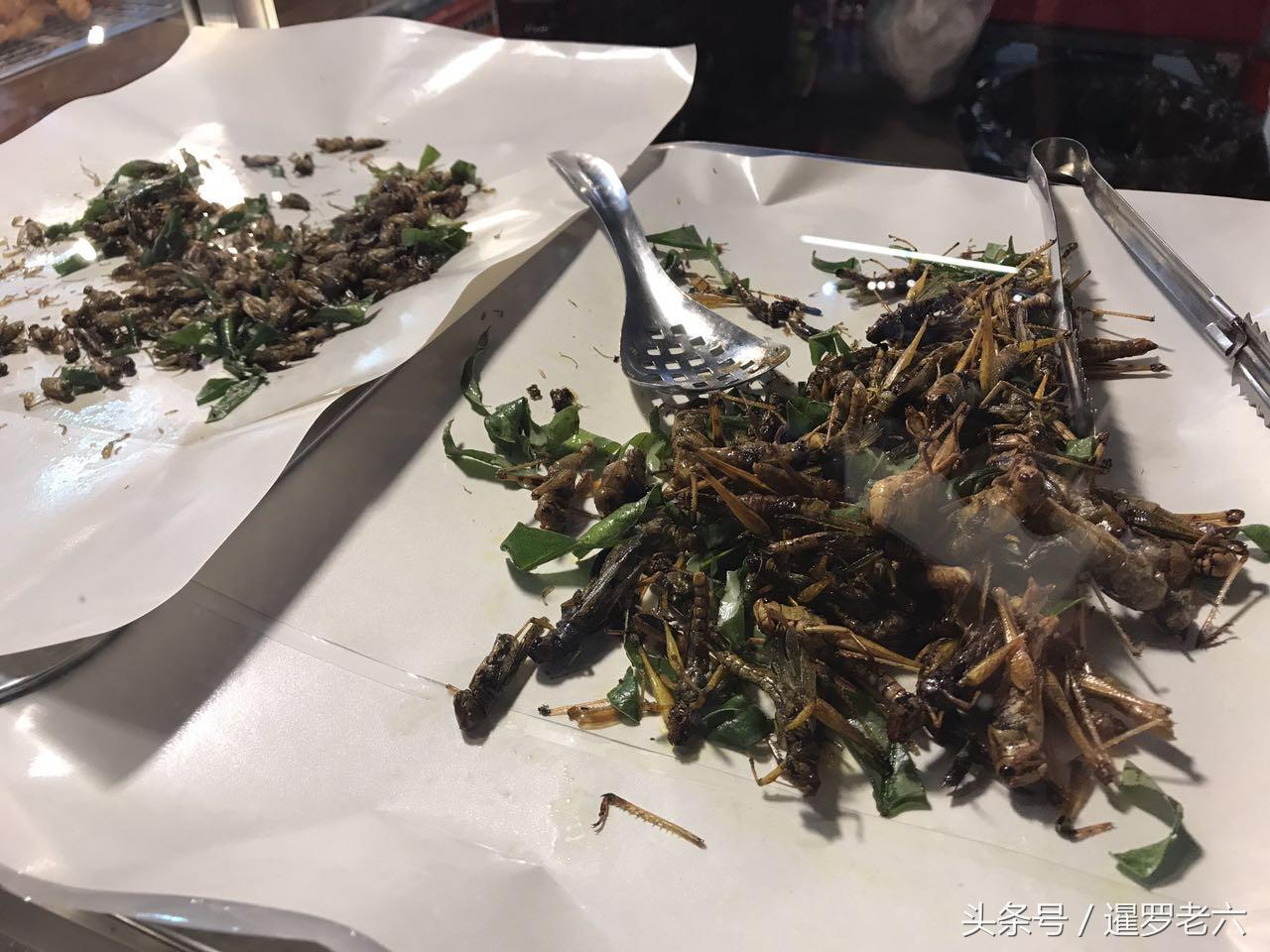 孕妇梦境解析，生吃蛇与无头小蛇的象征意义