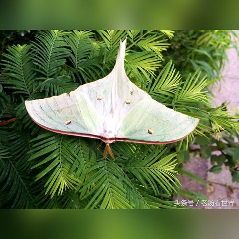 济南青岛相关长尾关键词有哪些