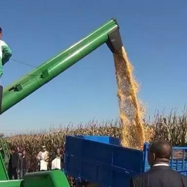 福建小麦飞防的相关长尾关键词有哪些