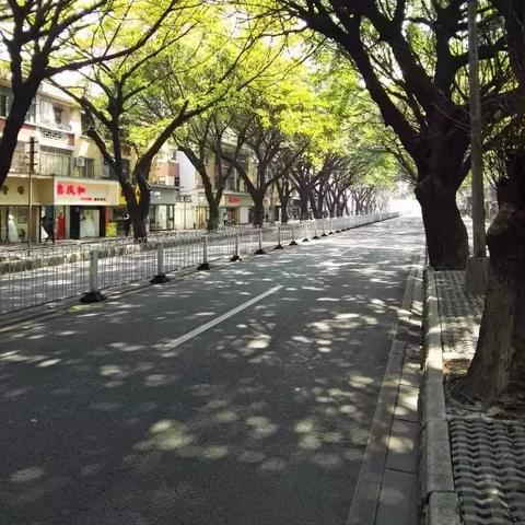 广州市什么婚纱店好