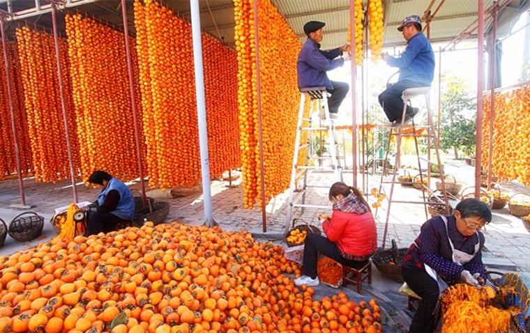 美食机可以做什么（牛奶可以直接放入破壁机嘛吗）