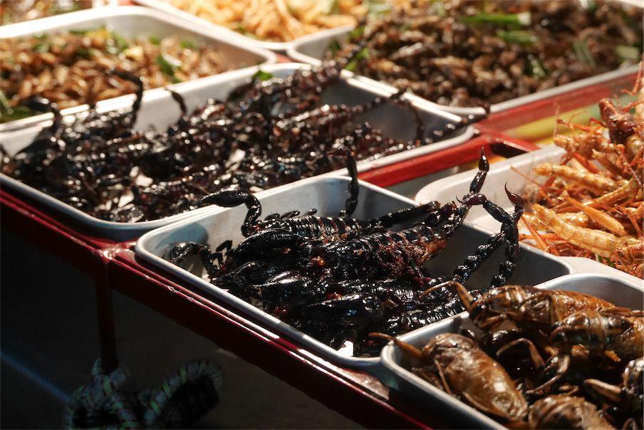 昆虫的美食是什么（恐怖美食有哪些）