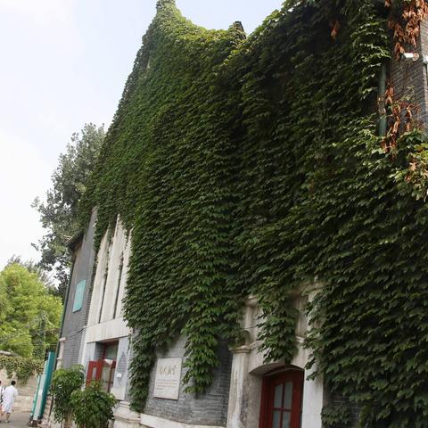 济南市齐鲁医院做b 超挂什么科