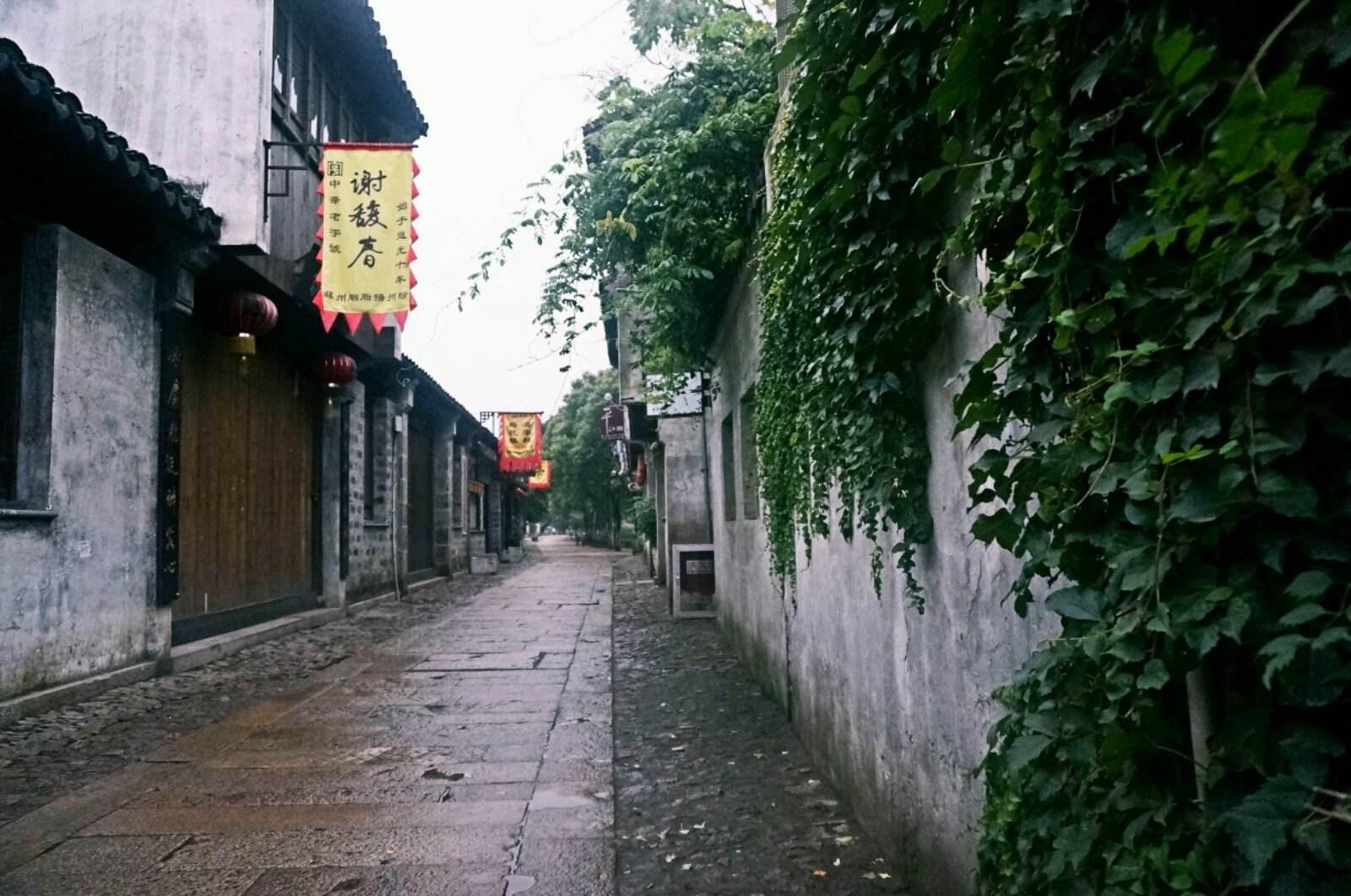 梦境解析，穿越界限的邂逅——与白发老人的神秘对话