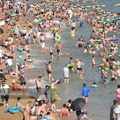 2025.11.20大连今日气温变化情况