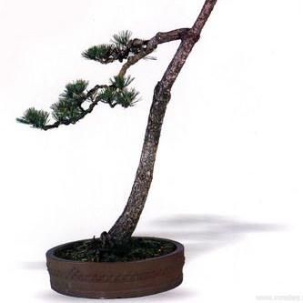 掌握节奏，轻松通关——节奏大师高分技巧全解析