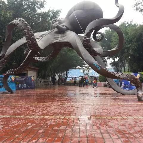 厦门市哪里风景区好玩