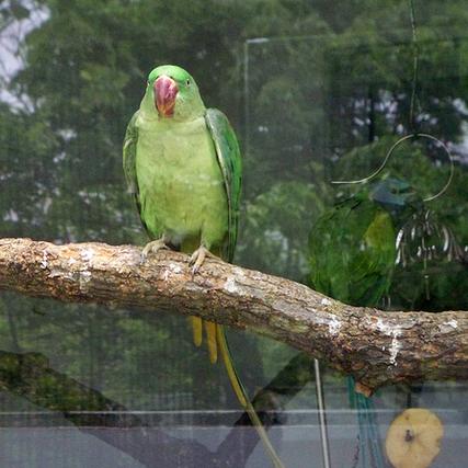 电影下体的长尾关键词是什么