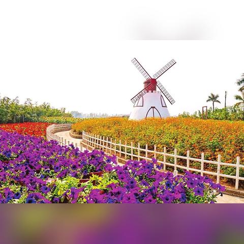 百万葵园门票团购(百万葵园门票政策) 百万葵园门票团购(百万葵园门票政策)