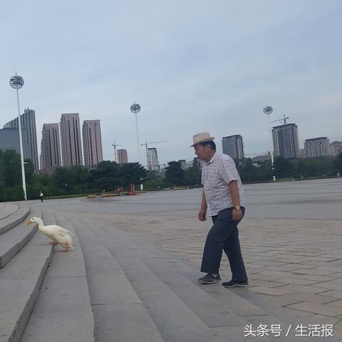 哈尔滨市哪里缴纳医保好