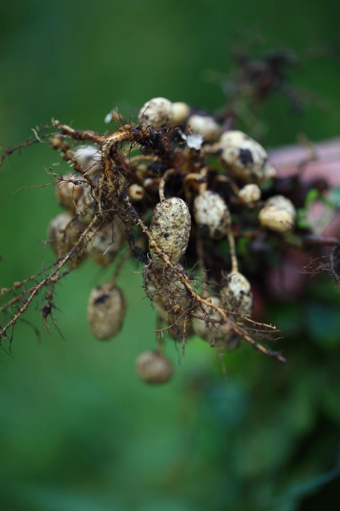 石家庄新增
,石家庄新增6所省特色高中 石家庄新增
,石家庄新增6所省特色高中