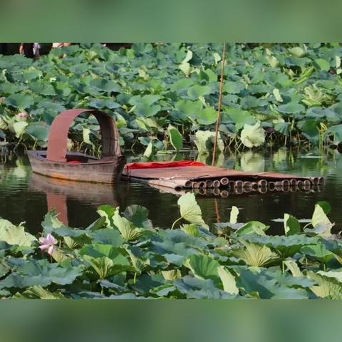 长春市冬钓馆在哪里
