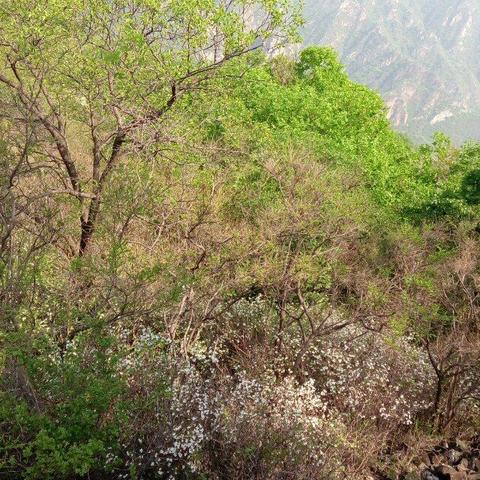 西安野长城相关长尾关键词有哪些