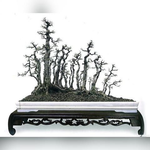 掌握节奏，轻松通关——节奏大师全关卡通关技巧解析