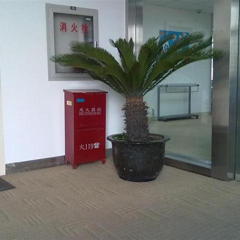 五行与属相婚配表大全(属相五行婚配表大全结婚必看)