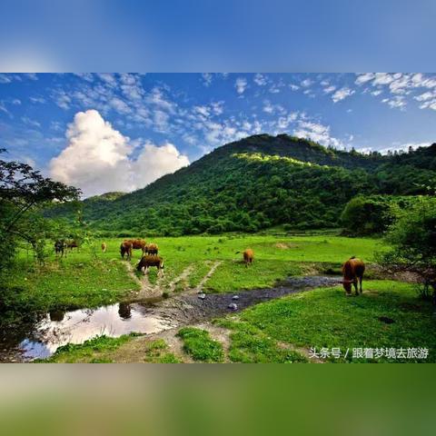 丰都旅游景点大全的长尾关键词有哪些