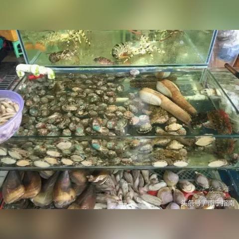 南宁公交车208的相关长尾关键词有哪些