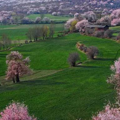 成都市哪里衣服好