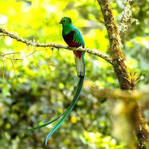 【天津果实科技有限公司】长尾关键词有什么