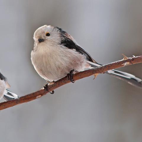 广州冬天推荐相关长尾关键词有哪些