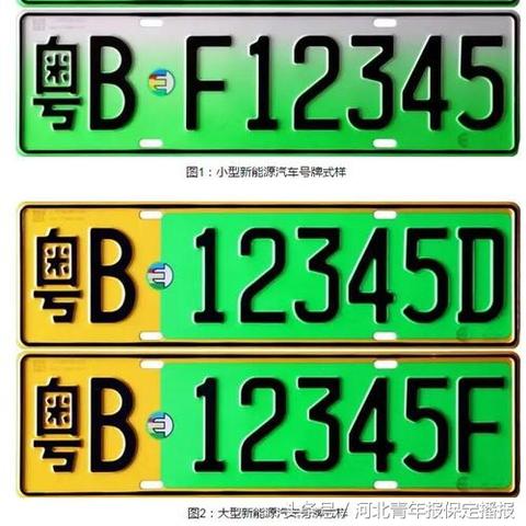 保定市轿车牌照去哪里领