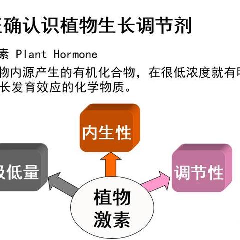河南郑氏化工产品价格表的相关长尾关键词有哪些