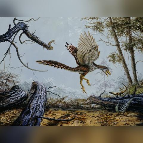 去成都市看锁骨怎么走地铁的长尾关键词有哪些