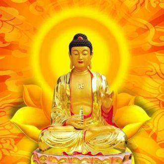 生肖龙九月生运势(生肖龙九月份运势如何)