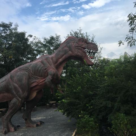 天津从哪里坐车去济南市