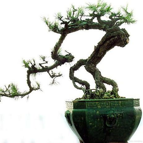 掌握节奏，轻松通关——节奏大师全关卡攻略指南