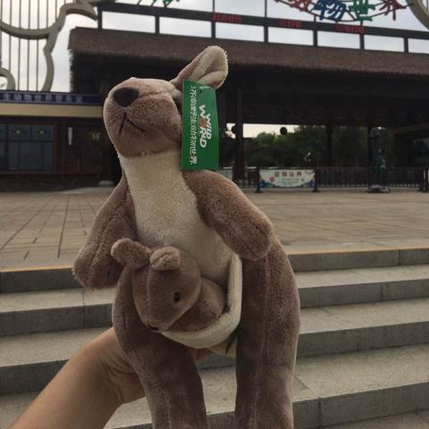 济南市动物园隶属哪里