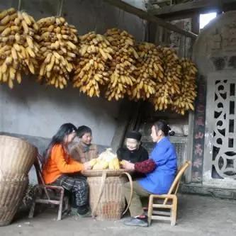 广东东莞市罗氏字辈大全的长尾关键词有哪些