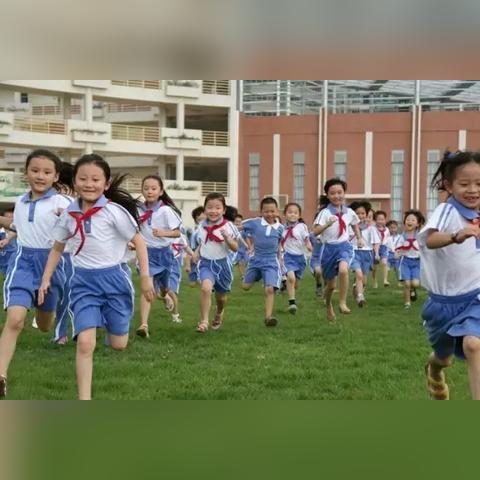 合肥市医保去哪里参保