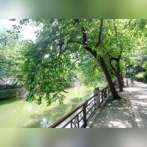 海珠属于哪个市(海珠区是那个省那个市)