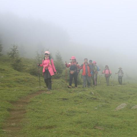 石家庄市哪里取名好一点