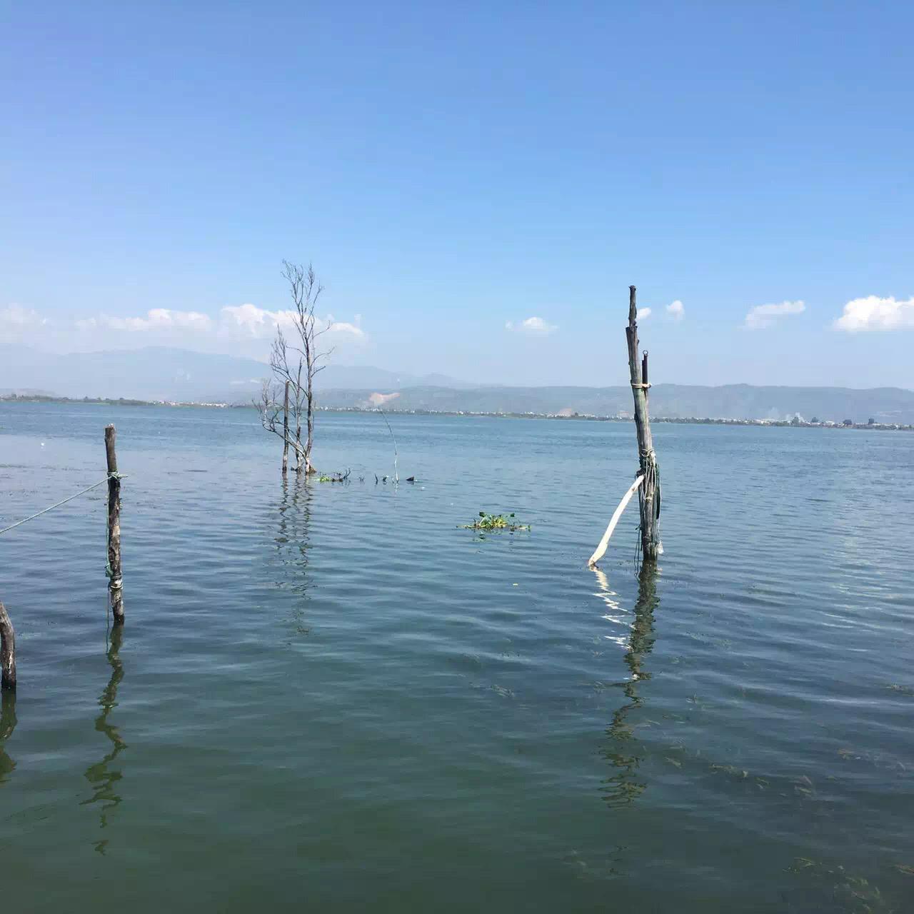 原神镜花之琴怎么拿（真实的故事应该是怎样的呢）