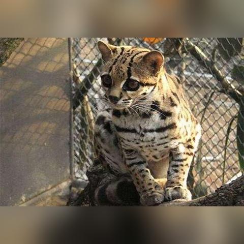 我这一辈子电影百度长尾关键词有哪些